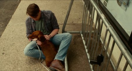 Такса (2016) Такса (2016)