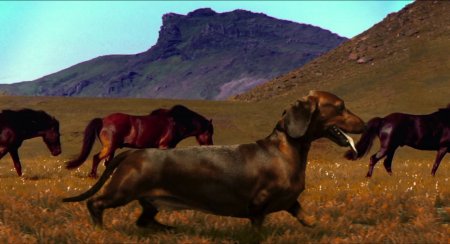 Такса (2016) Такса (2016)