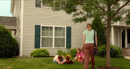 Такса (2016) Такса (2016)