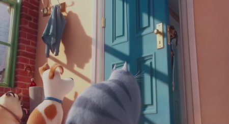 Тайная жизнь домашних животных (2016)