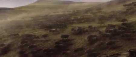 Тарзан. Легенда (2016) Тарзан. Легенда (2016)