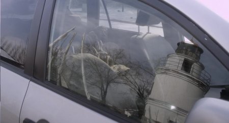 Дом для русалок (2015) Дом для русалок (2015)