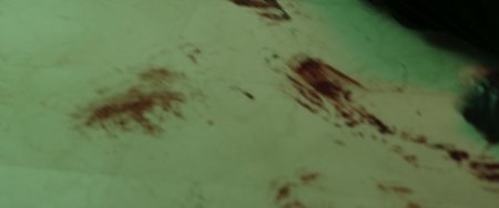 Торо (2016) Торо (2016)