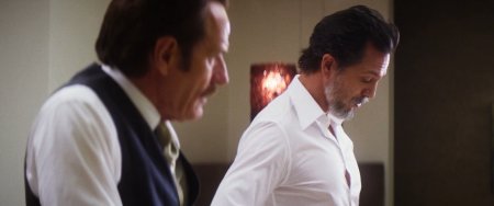 Афера под прикрытием (2016)