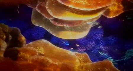 В поисках Дори (2016)