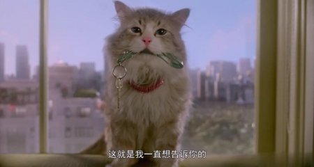 Девять жизней (2016) Девять жизней (2016)