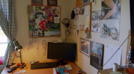 Куда бы еще вторгнуться? (2015)