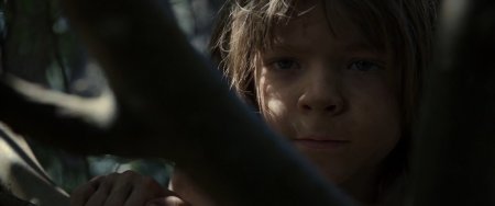 Пит и его дракон (2016) Пит и его дракон (2016)