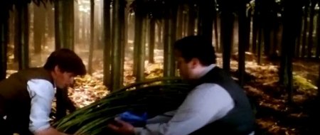 Фантастические твари и где они обитают (2016)