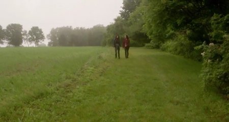 Единоличный собственник  (2016)