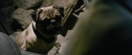 Тоннель (2016) Тоннель (2016)