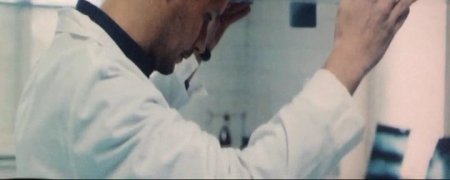 Зоология (2016) Зоология (2016)