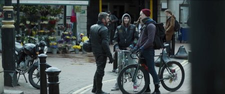 Уличные коты (2016) Уличные коты (2016)