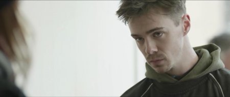 Уличные коты (2016) Уличные коты (2016)