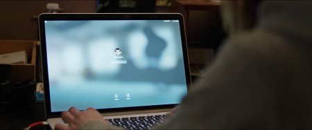 Уличные коты (2016) Уличные коты (2016)