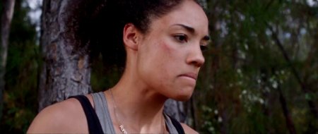 Догонялки (2014) Догонялки (2014)