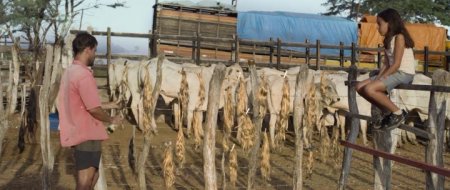 Неоновый вол (2015) Неоновый вол (2015)