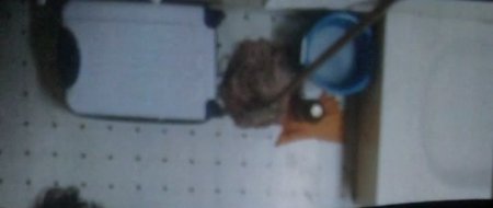 Дары смерти (2015) Дары смерти (2015)