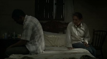 Земля и тень (2015)