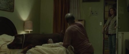 Мистер Свин (2016) Мистер Свин (2016)