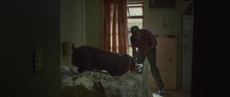 Мистер Свин (2016) Мистер Свин (2016)