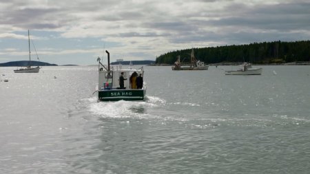 Конгрессмен (2016)