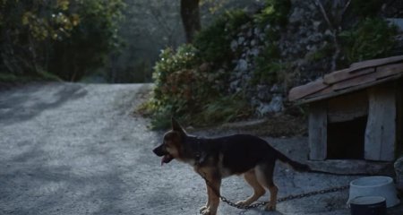 Бабушка (2015) Бабушка (2015)