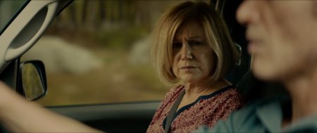 Молодость в Орегоне (2016) Молодость в Орегоне (2016)