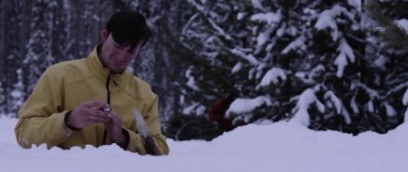 Зов волка (2016)