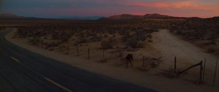 Под покровом ночи (2016)