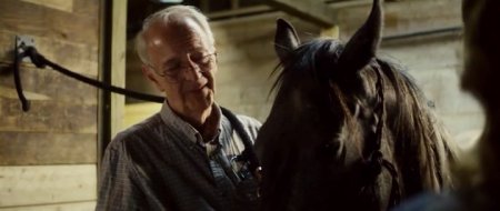 Одичавший (2017)