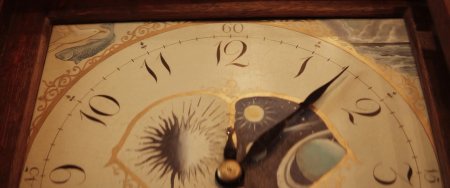 Голос монстра (2016)