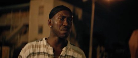 Лунный свет (2016)