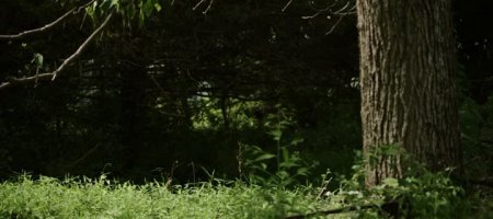 Шальные пули (2016)