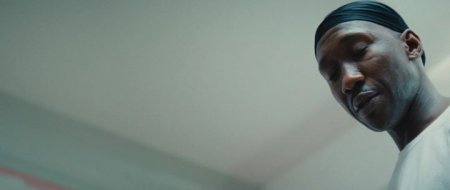 Лунный свет (2016)