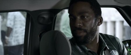 Собачий мир (2016) Собачий мир (2016)