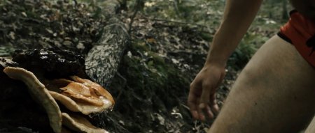 Озеро желаний (2016) Озеро желаний (2016)