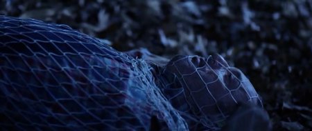 Не убивай его (2016) Не убивай его (2016)