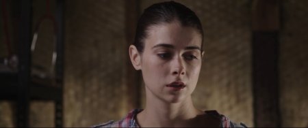 Любительница собак (2016)