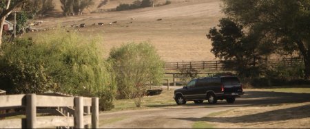 Любительница собак (2016)