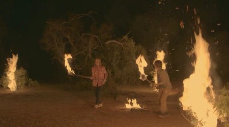 Против природы 2: Выжить в Серенгети (2016) Против природы 2: Выжить в Серенгети (2016)