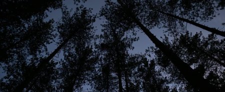 Жестокие мечты (2016) Жестокие мечты (2016)