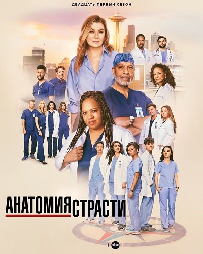 Фильм Анатомия страсти (21 сезон)