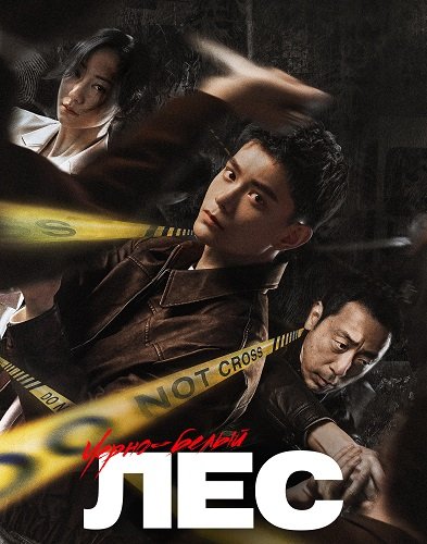 Фильм Черно-белый лес (1 сезон)