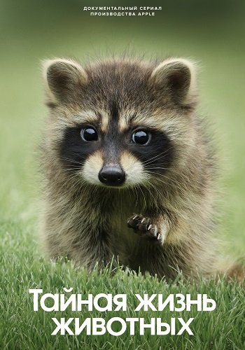 Фильм Тайная жизнь животных (1 сезон)