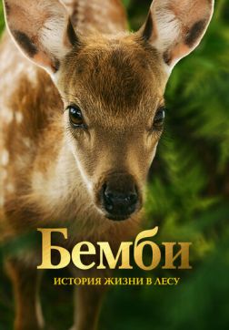 Фильм Бемби. История жизни в лесу (2024)